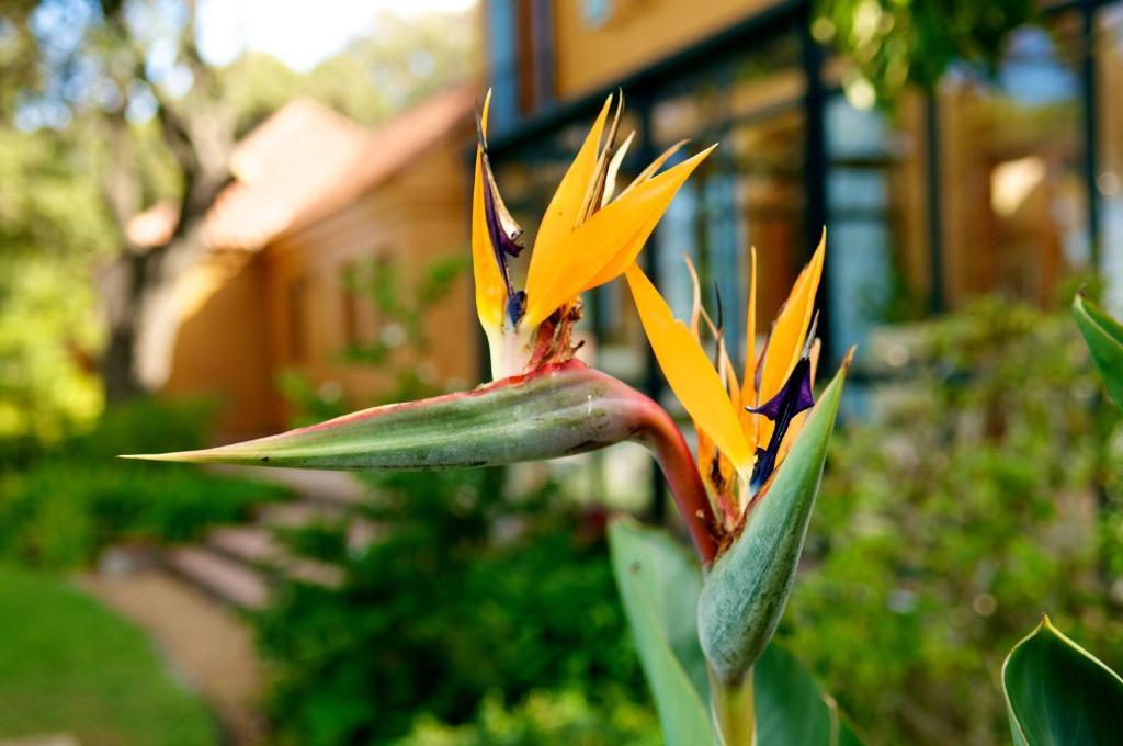 Cap Serein Guest House Kapstadt Exterior foto