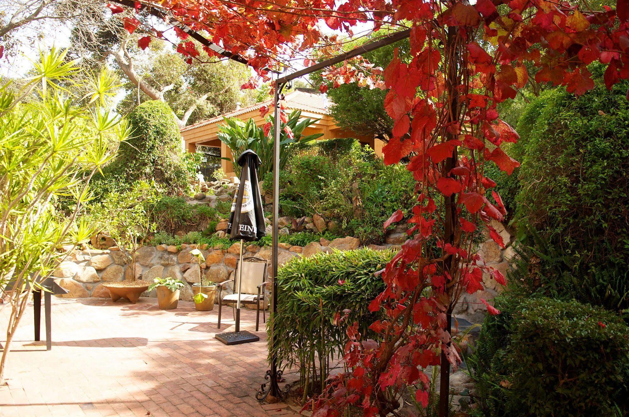 Cap Serein Guest House Kapstadt Exterior foto