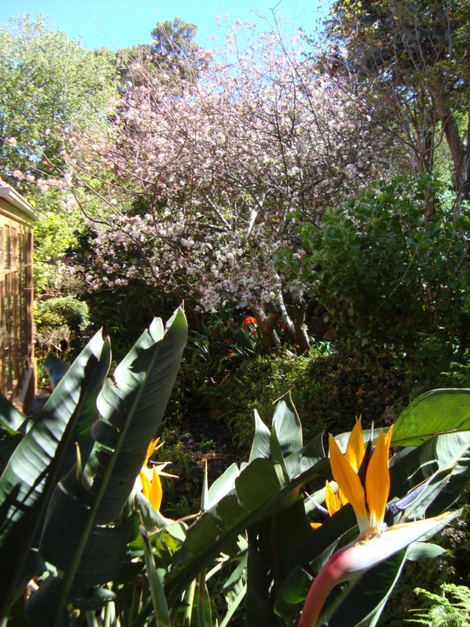 Cap Serein Guest House Kapstadt Exterior foto